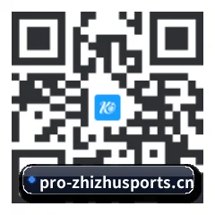 系统版 iOS 二维码